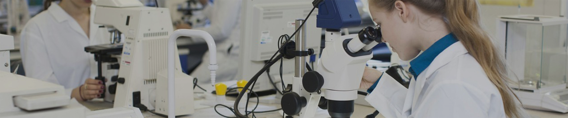 ServiceSupport banner