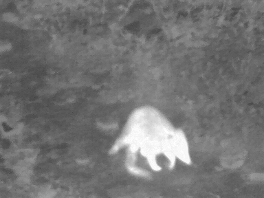 UTx210W 11 UTx210W application-2