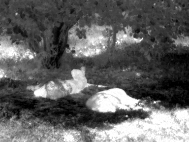 UTx210W 14 UTx210W application-5