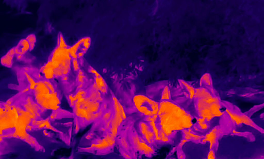 UTx210W 15 UTx210W application-6